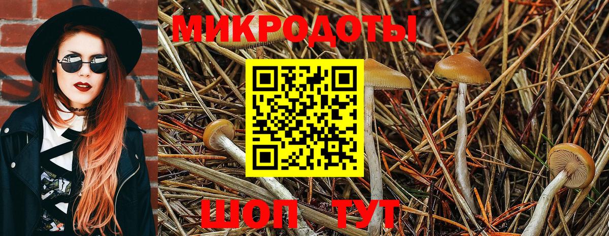 Псилоцибиновые грибы ЛСД  Вход с VPN  Псилоцибиновые грибы ЛСД  как найти закладки  Энгельс 